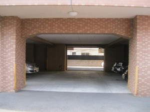 IMG_1795 IMG_1795