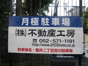 IMG_2555 IMG_2555