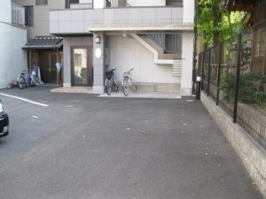 IMG_2559 IMG_2559