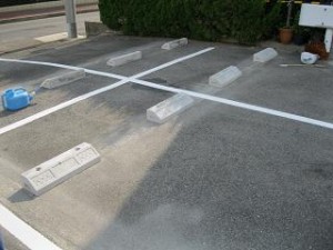 IMG_2308 IMG_2308