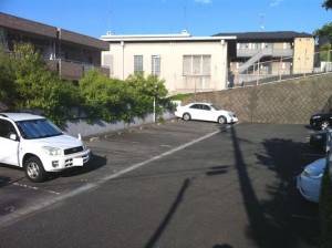 IMG_1310 IMG_1310