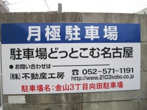 IMG_4919 IMG_4919