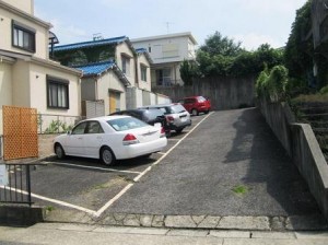 IMG_4994 IMG_4994