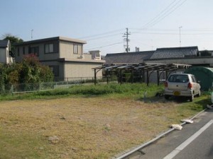 IMG_5509 IMG_5509