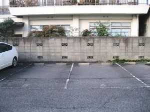 IMG_0110 IMG_0110