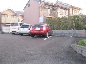 IMG_3659 IMG_3659