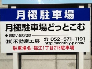 IMG_1441 IMG_1441