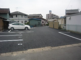 全体