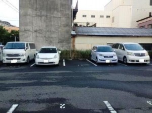 IMG_1510 IMG_1510