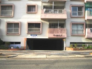 IMG_4746 IMG_4746