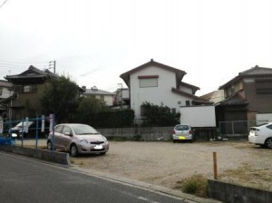 IMG_7942 IMG_7942