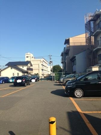 IMG_1346 IMG_1346