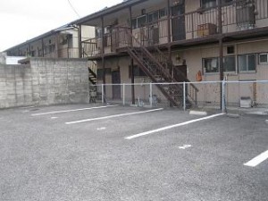 IMG_5377 IMG_5377