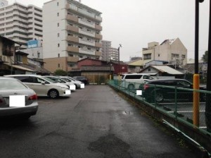 IMG_1995 IMG_1995