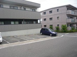 FK206-1 FK206-1