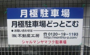FK386-k FK386-k