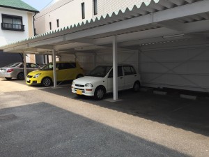 IMG_0871 IMG_0871