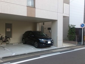 FK390-1 FK390-1