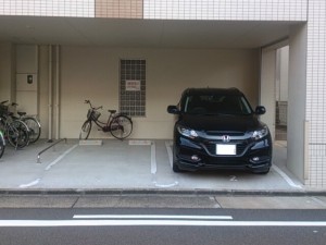 FK390-2 FK390-2