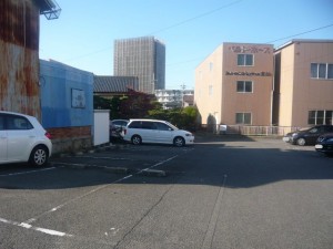 FK40338-2 FK40338-2