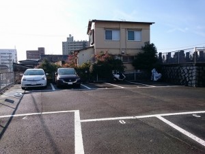 FK40391-1 FK40391-1