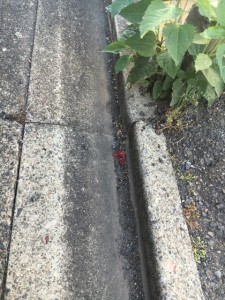 観音町２丁目駐車場