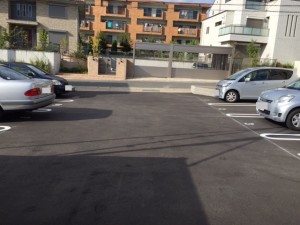 IMG_4615 IMG_4615