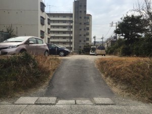 IMG_6564