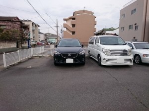 s-DSC_1631