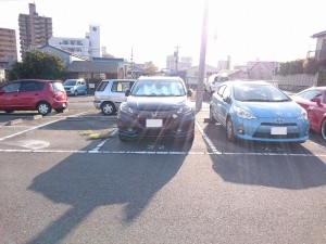 s-DSC_1694