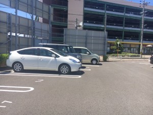 IMG_3834 IMG_3834