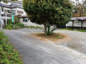 FK Sophia駐車場