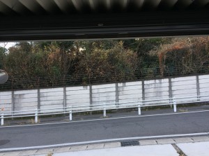 IMG_1697