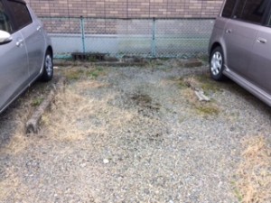 校南Ｔパーキング
