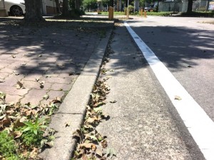 大杉1丁目一括貸し駐車場 大杉1丁目一括貸し駐車場