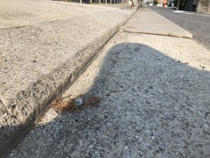 ＦＫ亀の井3丁目駐車場