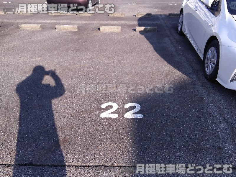 愛知郡東郷町春木池田13番地、12番2の月極駐車場5