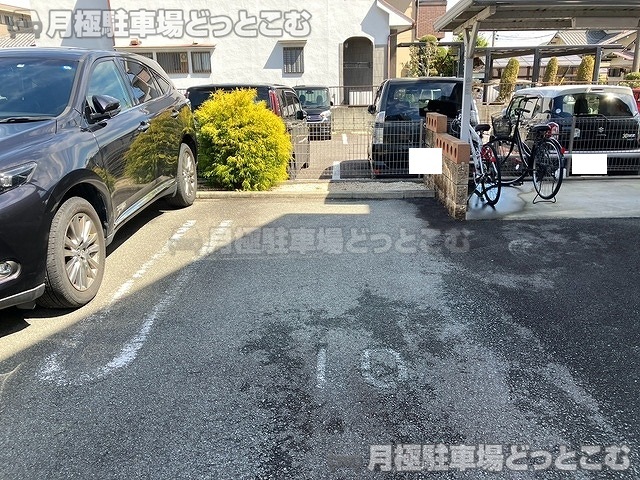 津市桜橋1丁目321の月極駐車場6