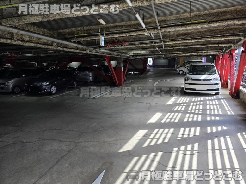 豊田市西町5丁目5の月極駐車場8