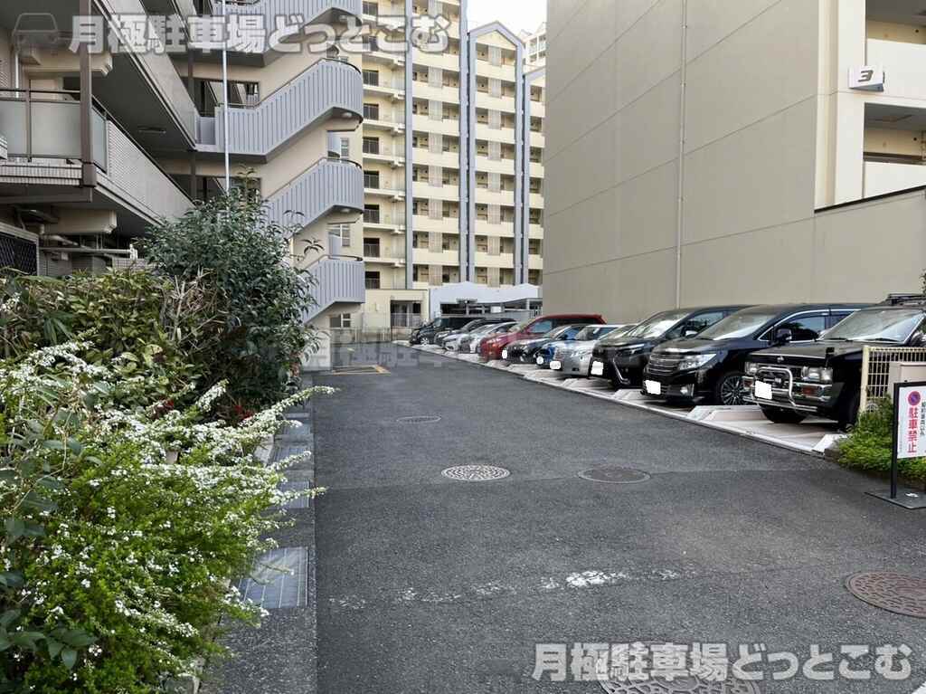 新宿区百人町420-316の月極駐車場3