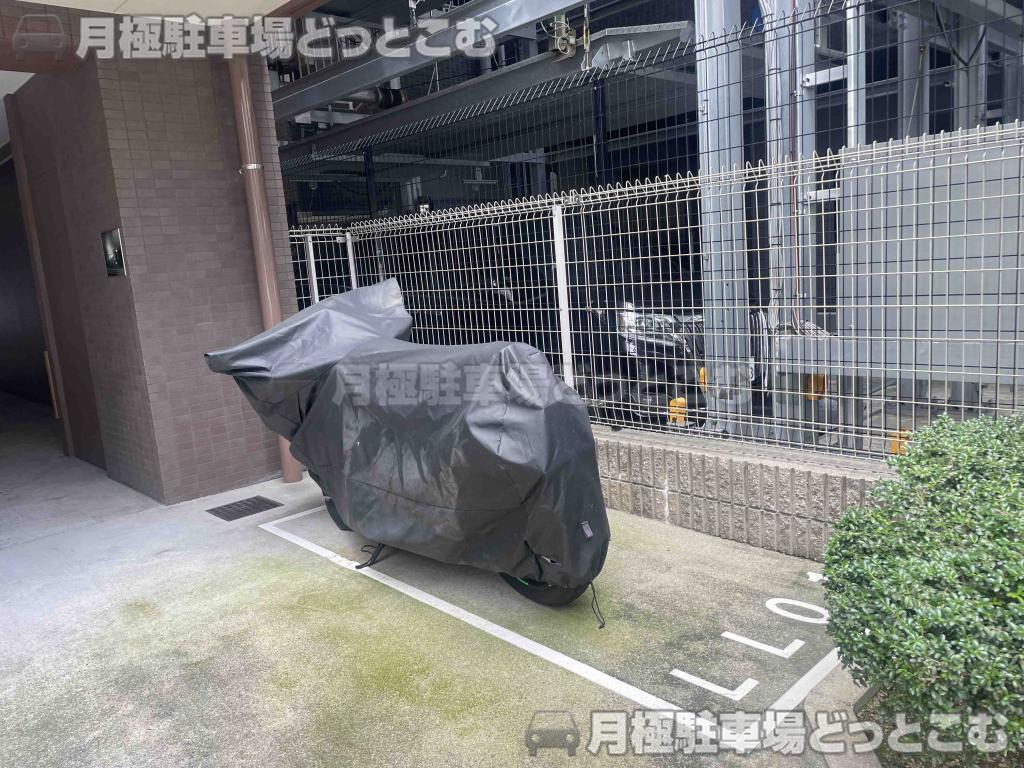 名古屋市中村区名駅南1の月極駐車場1